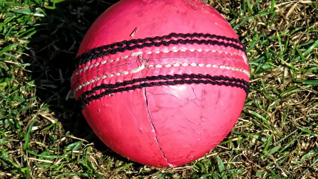 A used pink cricket ball with black stitching resting on grass.