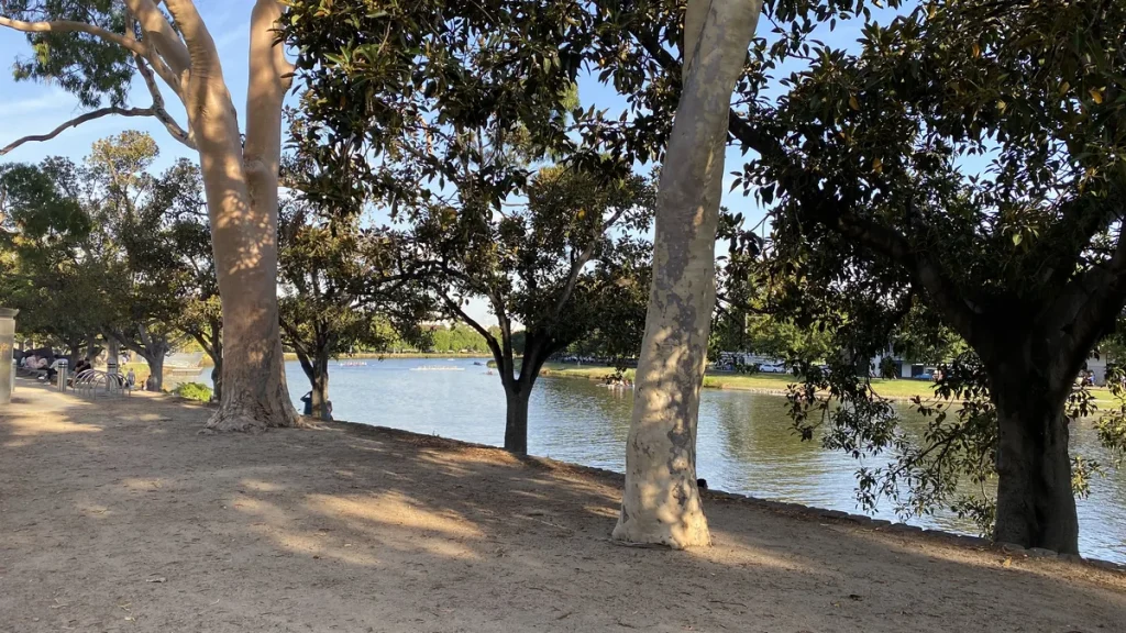 The Birrarung Marr area on the Yarra River in Melbourne.