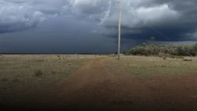 flooding queensland