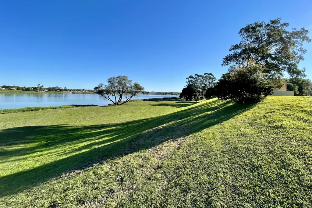 A sunny grassy riverbank in Grafton with long tree shadows across the slope, a lone tree at the water's edge and the wide Clarence River under a clear blue sky.